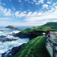 Nobbies Boardwalk and seal rocks